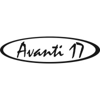 Bayliner Avanti 17 Boat Decals