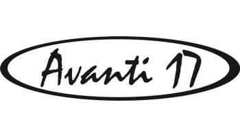 Bayliner Avanti 17 Boat Decals