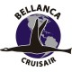 Bellanca Cruisair Aircraft Logo Decals