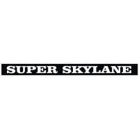 Cessna Super Skylane Aircraft Decals