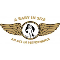 Corben Baby Ace Aircraft Logo Decals