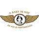 Corben Baby Ace Aircraft Logo Decals