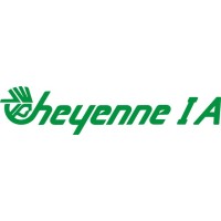 Piper Cheyenne IA Aircraft Logo Decals