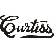 Curtiss Wright Aircraft Logo Script